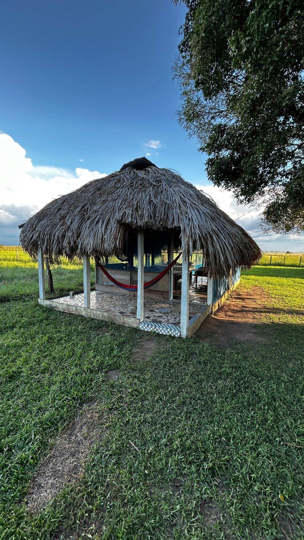 Palm cabin among the trees