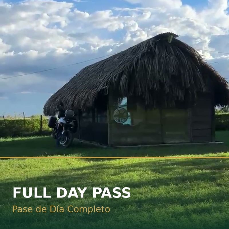 Full Day pass at El Oasis
